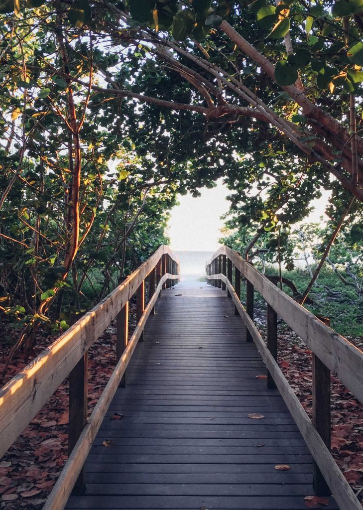 Wooden pathway